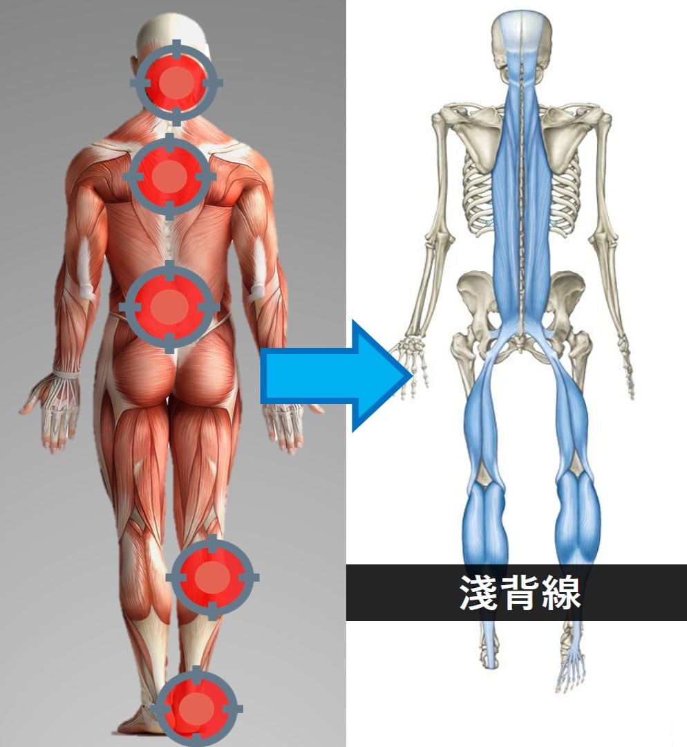 淺背線.jpg