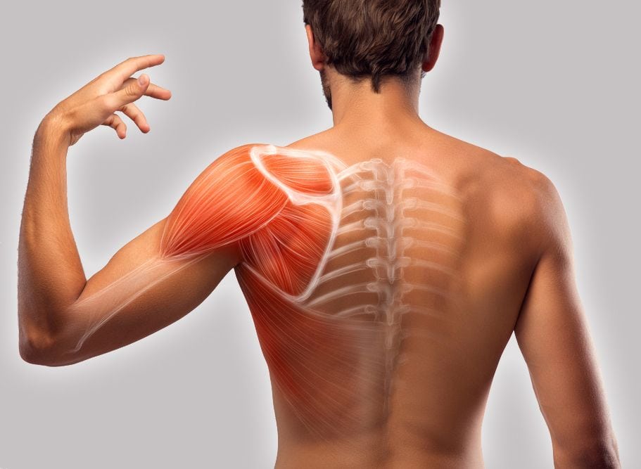shoulder-blade-muscle-pain-hand-muscle-pain.jpg